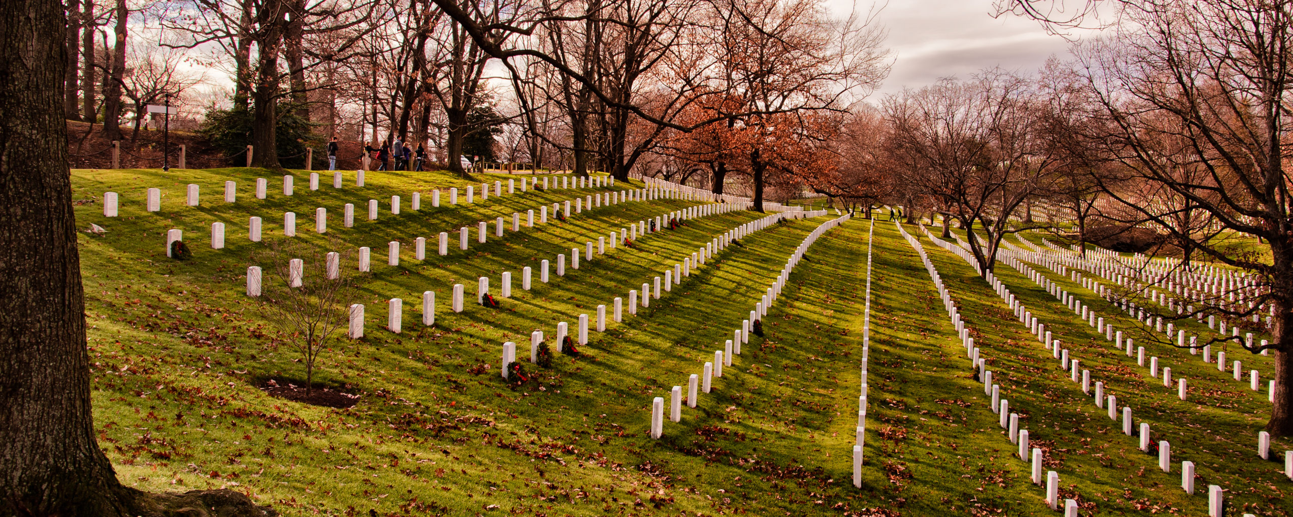 Veterans Day Arlington National Cemetery Select GCR
