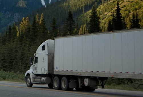 German and Son Trinity Business Solutions