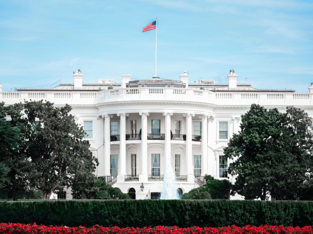 The white house