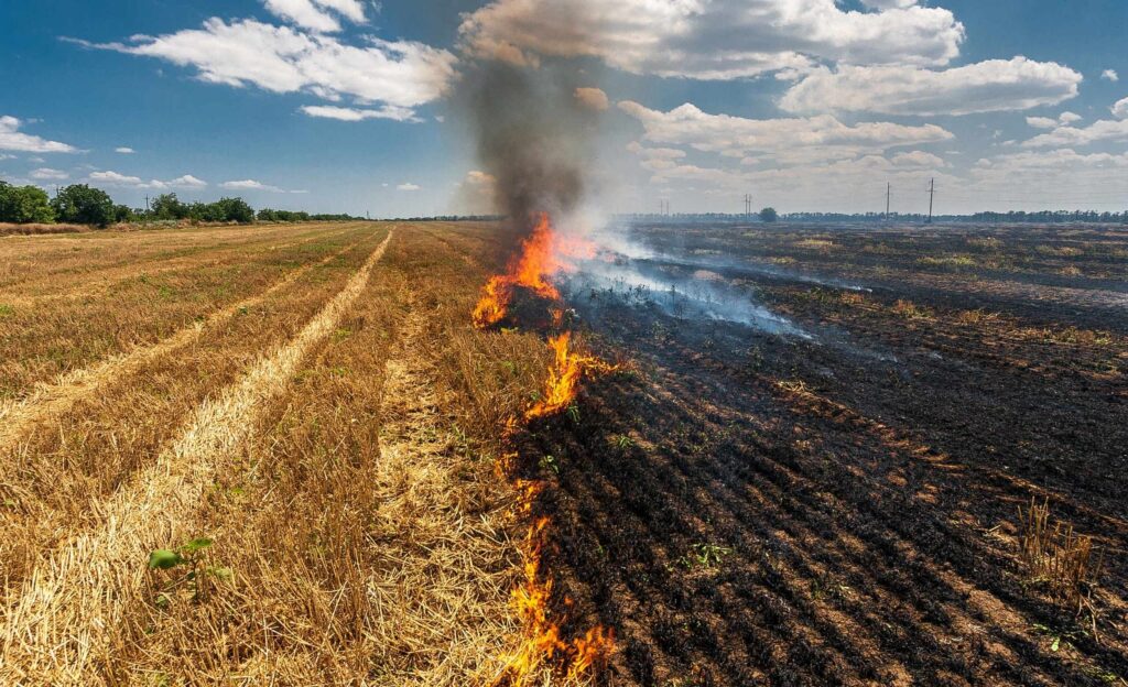 Farm burning