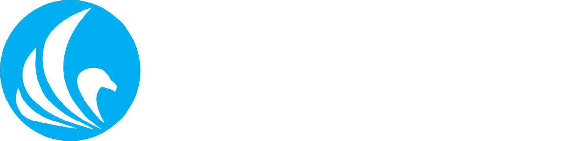 stonewing_builders_logo Trinity Business Solutions