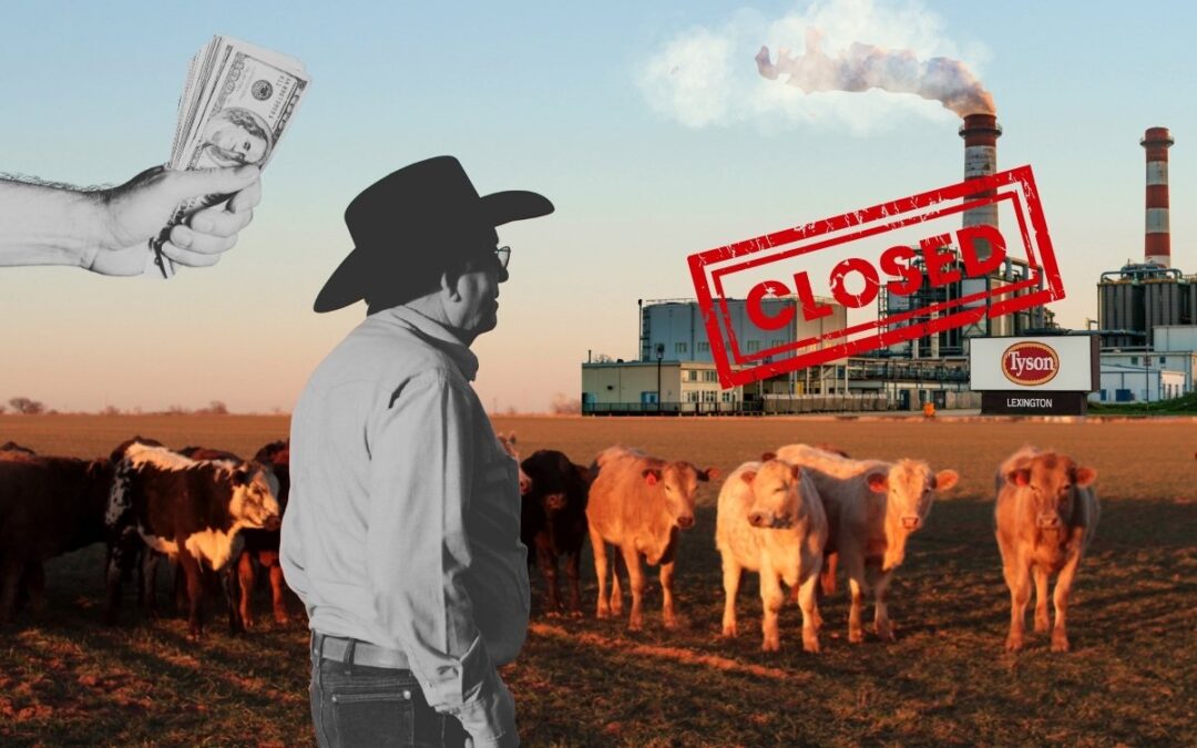 Government subsidized ‘Big Four’ meatpackers under fire as farms beef prices soar