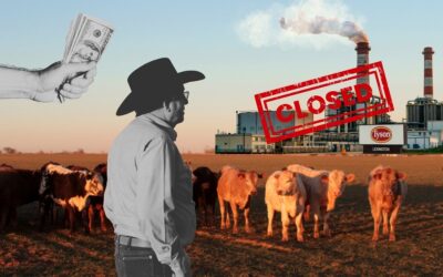 Government subsidized ‘Big Four’ meatpackers under fire as farms beef prices soar