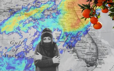 Frozen Florida weather caused over $3 billion in agriculture losses